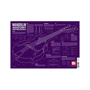 Mandolin Anatomy And Mechanics Wall Chart
