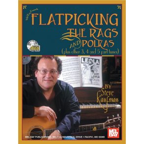 Steve Kaufman: Flatpicking The Rags And Polkas