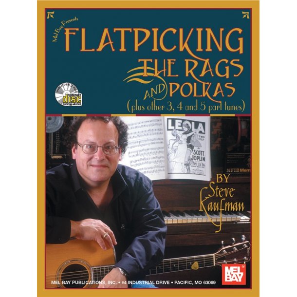 Steve Kaufman: Flatpicking The Rags And Polkas