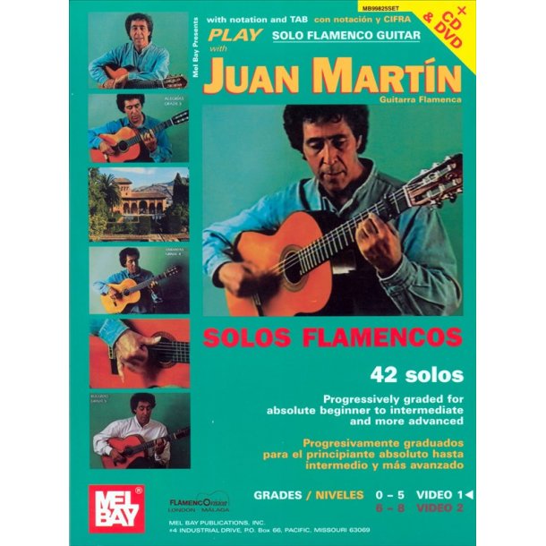 play solo flamenco guitar with juan martin