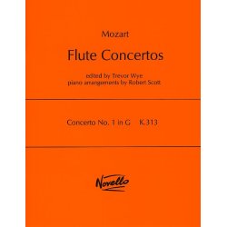 W.A. Mozart: Concerto No.1 In G K.313