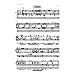 Tarik O'Regan: Colimacon