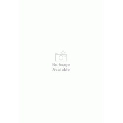 Eric Fogg: Hunting Song Of The Seeonee Pack (Low Voice)