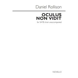 Daniel Rollison: Oculus Non Vidit