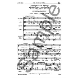 Hubert Du Plessis: Description Of Spring