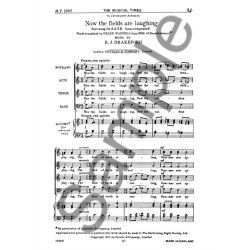 Richard Drakeford: Now The Fields Are Laughing