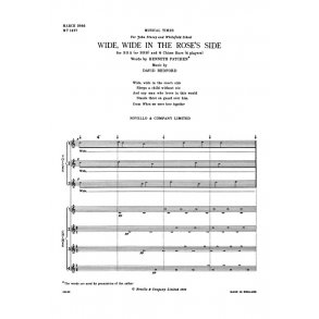 David Bedford: Wide, Wide In The Rose's Side