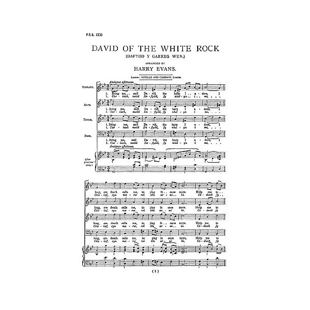 Evans: David Of The White Rock for SATB Chorus