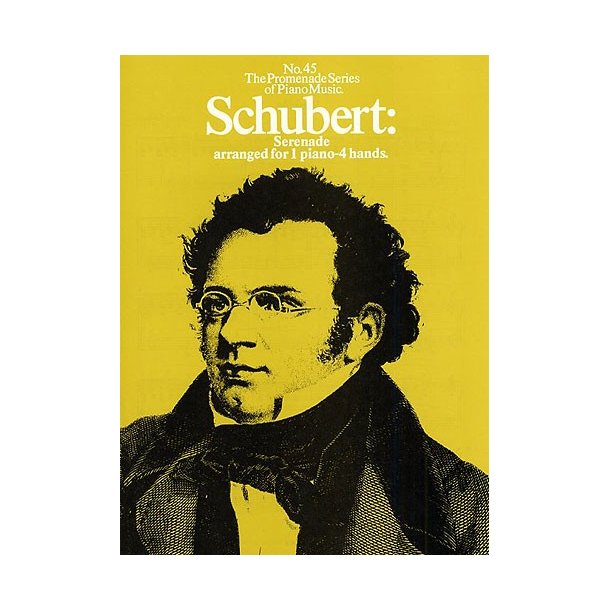 Schubert: Serenade (No.45)