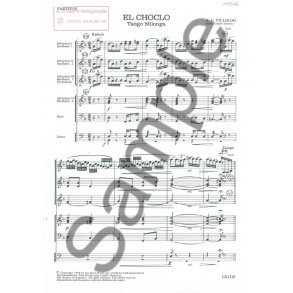 VILLOLDO A.G. EL CHOCLO SC