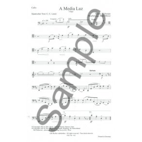 MEDIA LUZ SCHATZ SIERRA MADRE PTS XL PACK