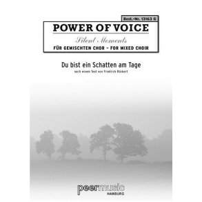 SCHUMANN STILLE STUNDE SATB ORGAN VOCAL SCORE