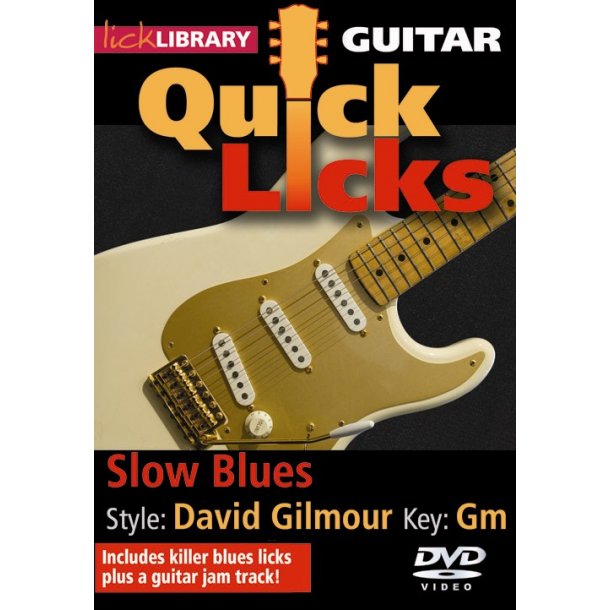 Lick Library: Quick Licks - Slow Blues David Gilmour