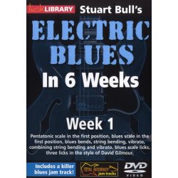 Lick Library: Stuart Bull's Electric Blues In 6 Weeks: Week 1