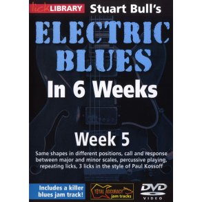 Lick Library: Stuart Bull's Electric Blues In 6 Weeks: Week 5
