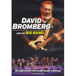 David Bromberg And His Big Band In Concert