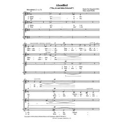 Per Nrgrd: Abendlied (Zwei Wolfli Lieder)