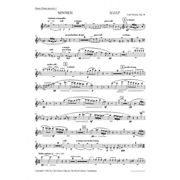 Carl Nielsen: Sleep (Svnen) Op.18 (Parts)