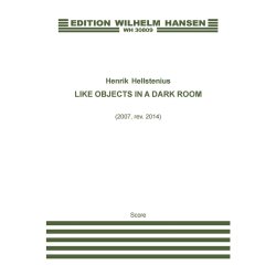 LIKE OBJECTS IN A DARK ROOM - 2007 VERSION