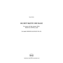 Sren  Birch: Og Det Skete I De Dage