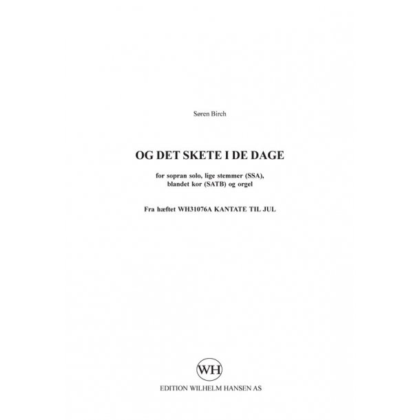 Sren  Birch: Og Det Skete I De Dage