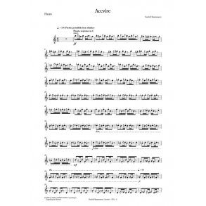 Sunleif Rasmussen: Accvire (parts)