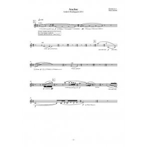 Anders Brdsgaard: Arachne (Parts)