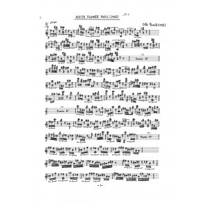 Ole Buck: White Flower Songs (parts)