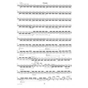 Anders Brdsgaard: Prelude-Labyrinth-Exit