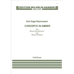Karl Aage Rasmussen: Concerto In Amber