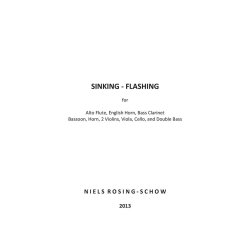 Niels Rosing: Schow  Sinking  Flashing