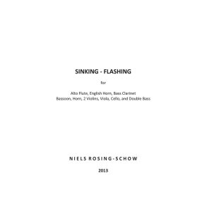 Niels Rosing: Schow  Sinking  Flashing