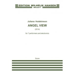 Juliana Hodkinson: Angel View