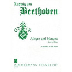 Ludwig Van Beethoven: Allegro And Menuet