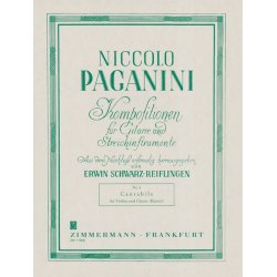 Niccolo Paganini: Cantabile No.8 (Violin/Guitar)