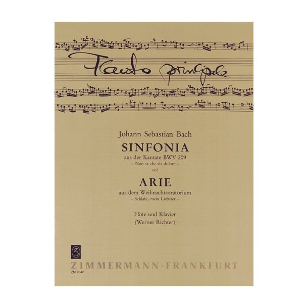 J.S. Bach: Sinfonia (Cantata BWV 209)/Aria (Christmas Oratorio)