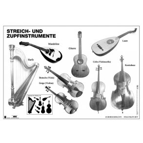 Poster Streich- Und Zupfinstrumente