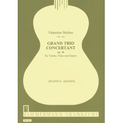 Molino, V: Grand Trio Op 10