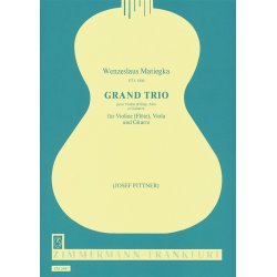 Matiegka: Great Trio Op 15