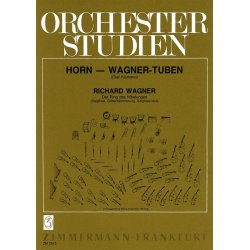 Wagner: Orchestral Studies: Ring Cycle Vol 2