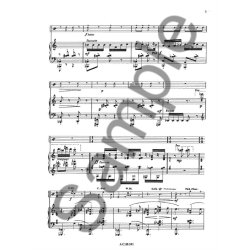 MANEN HISTOIRES DE CHATS PERCUSSION ET PIANO