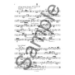 SOUBEYRAN LECTURES RYTHMIQUES