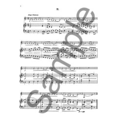 BARBOTEU 8 PICES COURTES COR