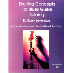 Barry Levenson: Exciting Concepts For Blues Guitar Soloing