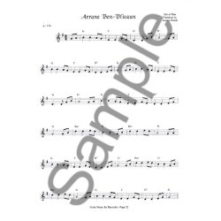 Celtic Music For Recorder