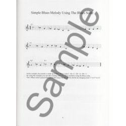 Andrew D. Gordon: 100 Ultimate Blues Riffs For Guitar (Beginner Series)