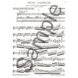 W.A. Mozart: 3 Cadenzas For Concerto KV 314