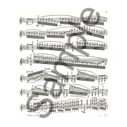 Niccol&ograve; Paganini: 24 Caprices Op.1, Vol.2 (Violin & Piano)