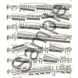 Niccol&ograve; Paganini: 24 Caprices Op.1, Vol.2 (Violin & Piano)