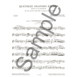 Ulysse Del&eacute;cluse: 14 Grandes Etudes (Clarinet solo)